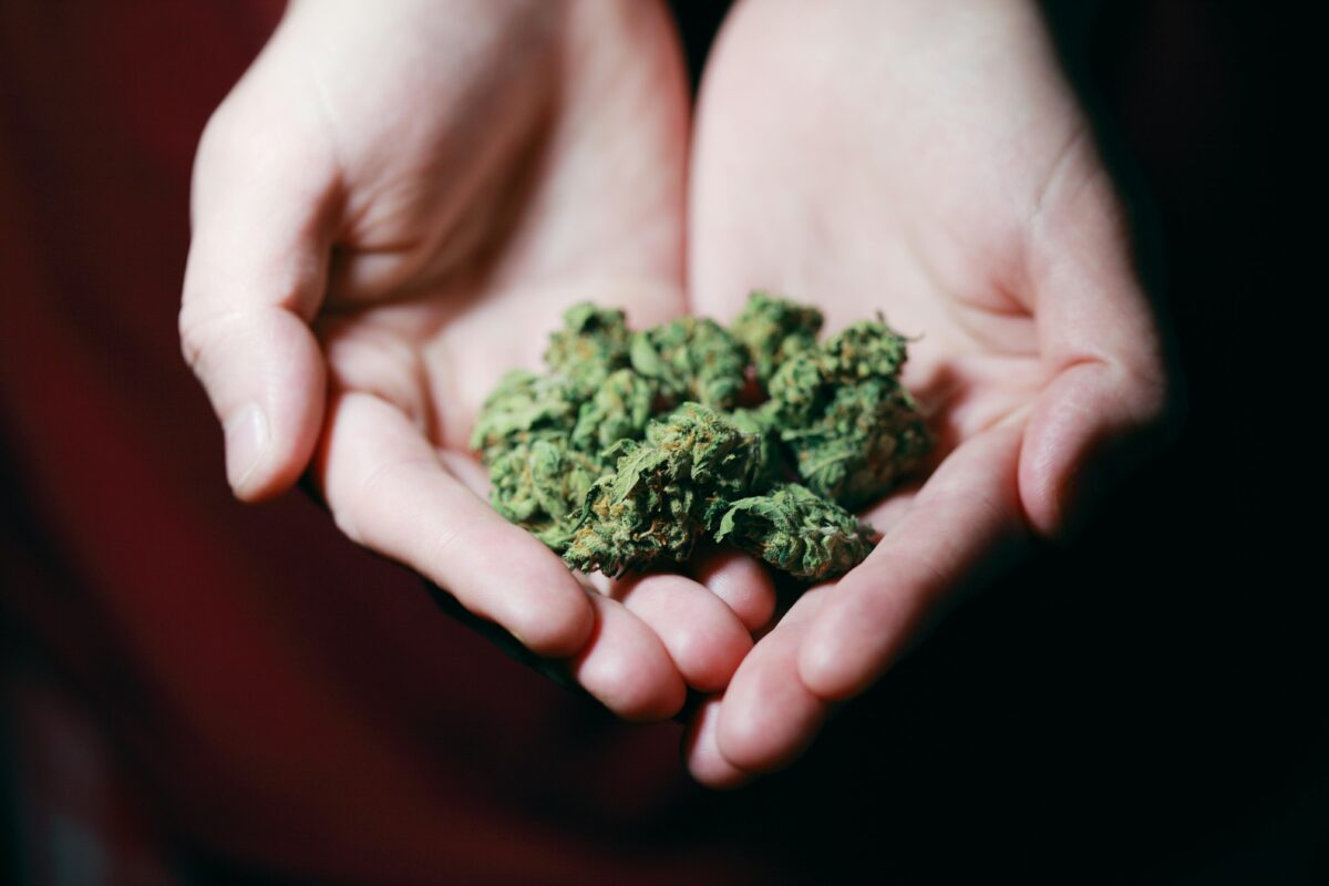 A person holds a small quantity of marijuana, showcasing the Packwoods x Runtz brand in their hands.