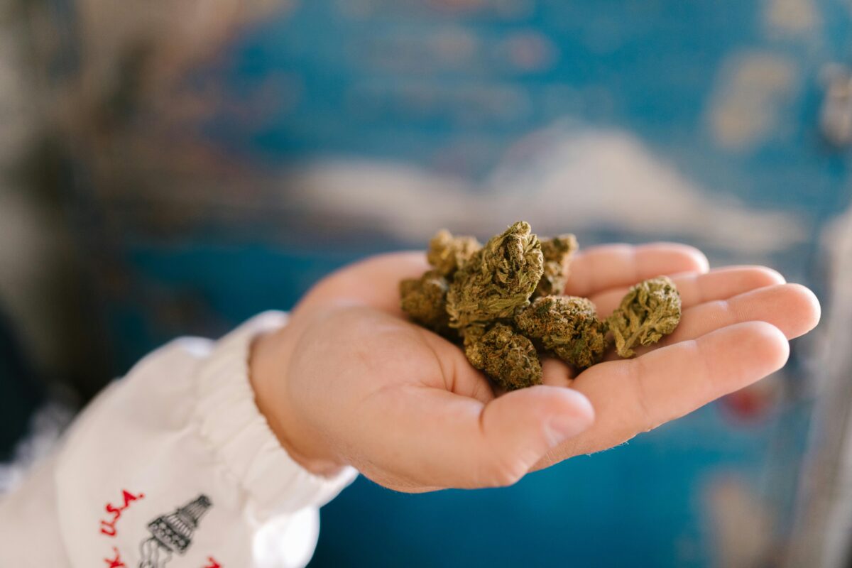 A person holds a small quantity of marijuana, showcasing the Packwoods x Runtz brand in their hands.